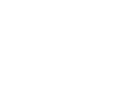 Mirvy Studio logo